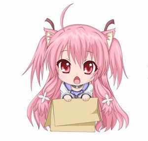 Meet your Posher, Alexander